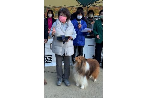 小林美代子ブリーダーの詳細の1枚目